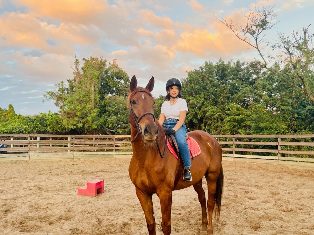 SECOND CHANCE STABLES Updated October 2024 7585 78th Ave N