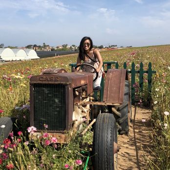 The Flower Fields - Venues & Event Spaces Near Me - Carlsbad, California The Flower Fields - Venues & Event Spaces Near Me - Carlsbad, California