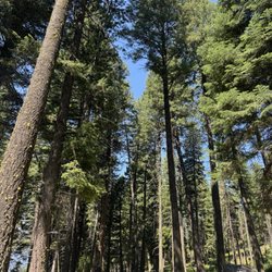 Ponderosa State Park