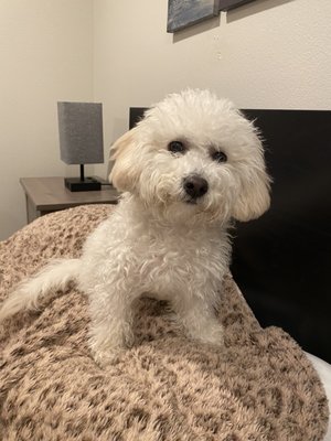 DoveLewis 24/7 Veterinary Emergency Hospital by null