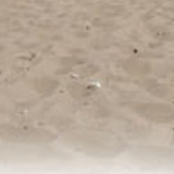Elbstrand Finkenriek - Sand am Elbstrand, was sonst?