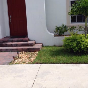 Tree Finders - Before - Tree Services Near Me Tree Finders - Before - Tree Services Near Me