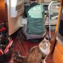 A11 Appliance Repair