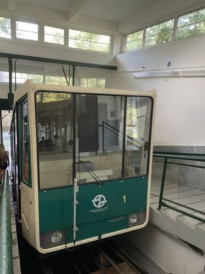 Petřín Gardens by null