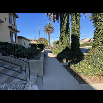 LJ’S Landscaping - Front lawn - Landscaping Near Me