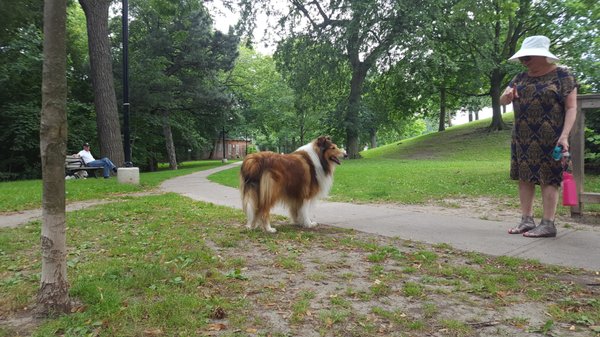 David A. Balfour Park by null