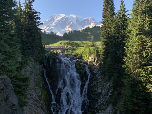 Myrtle Falls by null