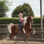 Photo of Golden Glen Stables
