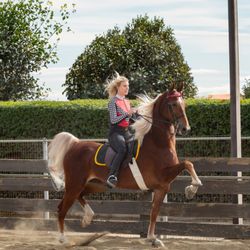 Golden Glen Stables - Erin Kennedy and Whiter Shade of Pale aka "Barbie"