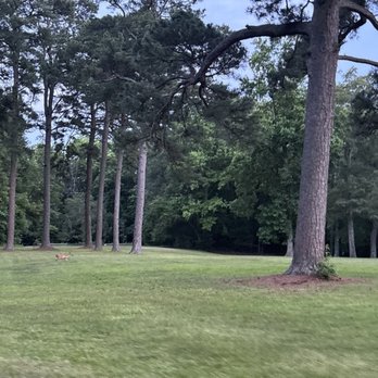 Noland Trail - Hiking Near Me - Newport News, Virginia Noland Trail - Hiking Near Me - Newport News, Virginia
