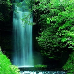 Eternal Spring Massage