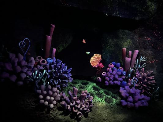 The Seas with Nemo & Friends by null