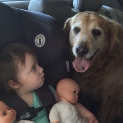 Main Street Animal Clinic - Gracie Mae