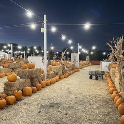 Moore Pumpkin Patch and Christmas Trees