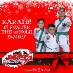 PKSA Karate Royal Oak - Karate is Fun for the Whole Family!