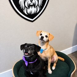 Fur Seasons Dog Spa