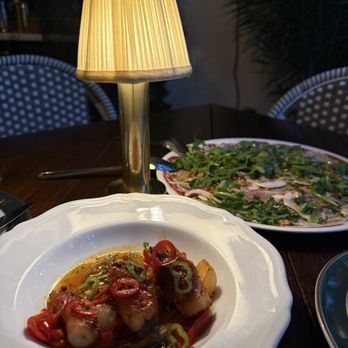 Contessa Miami - Italian Near Me - Miami, Florida Contessa Miami - Italian Near Me - Miami, Florida