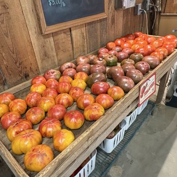 MacGregor Orchard - Pick Your Own Farms Near Me - Travelers Rest, South Carolina MacGregor Orchard - Pick Your Own Farms Near Me - Travelers Rest, South Carolina