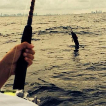 Miami Fishing Charters - fighting a sail with Miami in the background - Fishing Near Me - Miami, Florida