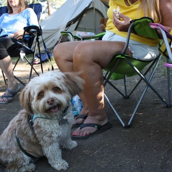 Markleeville Campground - leashed dogs welcome - Campgrounds Near Me - Sacramento, California
