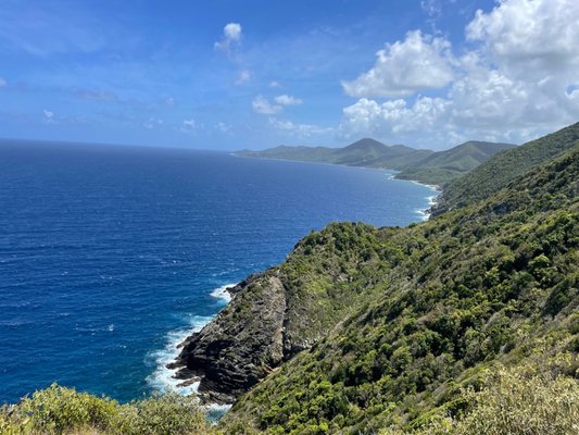 Hams Bluff by null