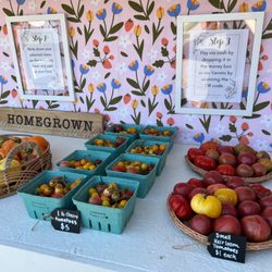 Homeschooling Homestead
