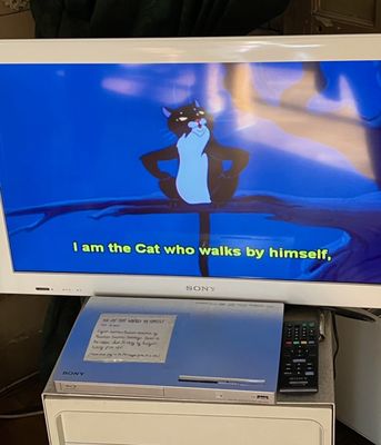 KattenKabinet (Cat Cabinet) by null