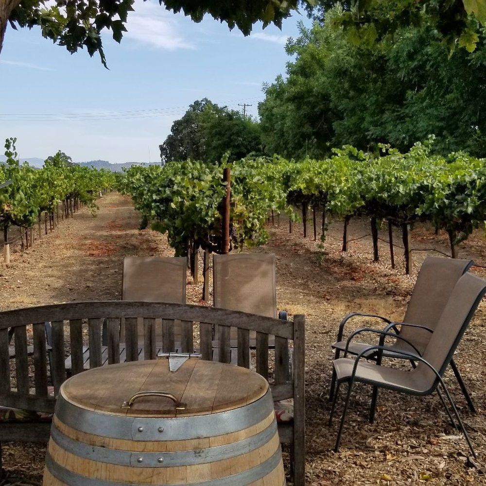 Saddleback Cellars - Outside tasting and vineyard - Wine Tasting Room Near Me - Oakville, California Saddleback Cellars - Outside tasting and vineyard - Wine Tasting Room Near Me - Oakville, California