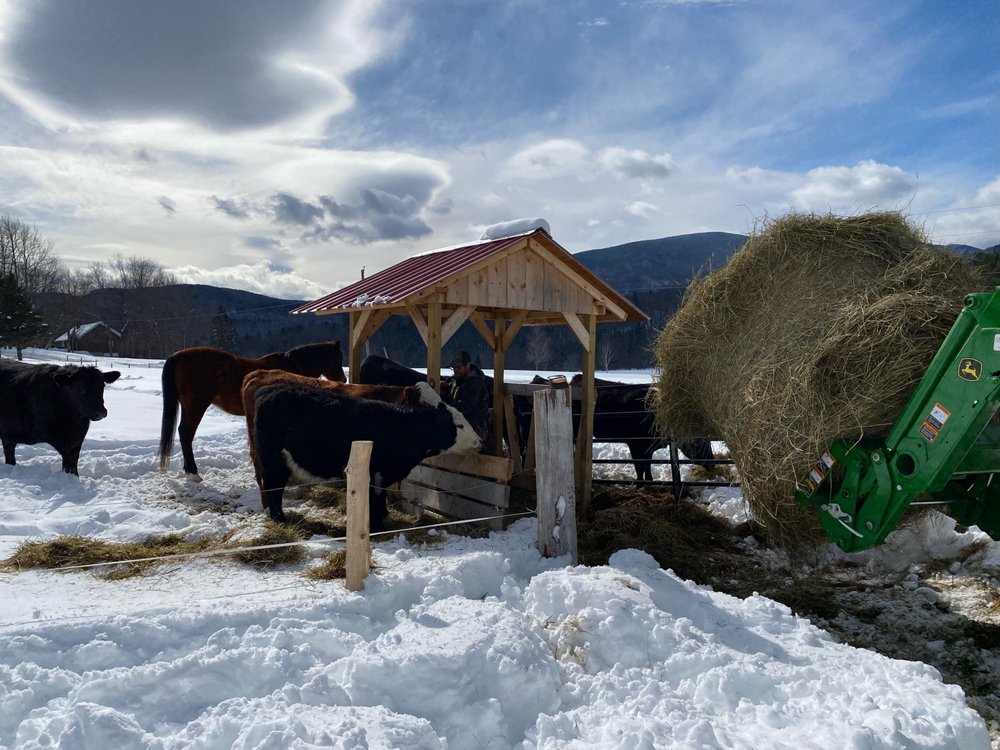 Puzzle Mountain Farm - equestrian in Newry, ME