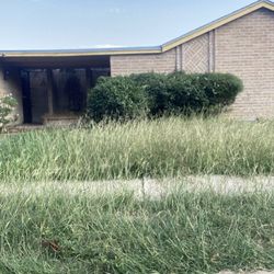 Palm Bay Rentals And Sales - Overgrown grass on plenty occasions