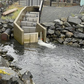 Sitka Sound Science Center - Aquariums Near Me - Sitka, Alaska Sitka Sound Science Center - Aquariums Near Me - Sitka, Alaska