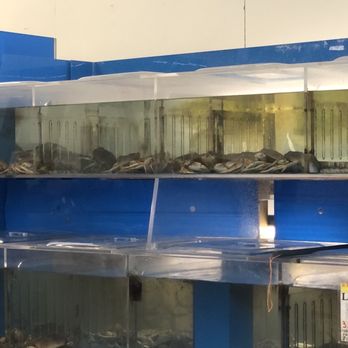 Dragon Star Oriental Foods - Live Crabs - International Grocery Near Me - Saint Paul, Minnesota
