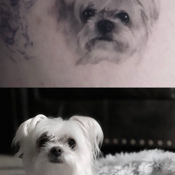 Mateo Studio LA - Pet portrait - Tattoo Near Me - Los Angeles, California Mateo Studio LA - Pet portrait - Tattoo Near Me - Los Angeles, California