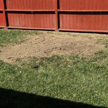 Juan Tree Service - After jacaranda tree and it's stump removed - Tree Services Near Me - Buena Park, California Juan Tree Service - After jacaranda tree and it's stump removed - Tree Services Near Me - Buena Park, California
