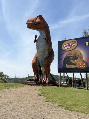 Dinosaur World by null