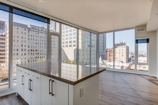 1717 Webster by null