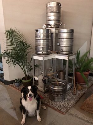 Burgeon Beer Company by null