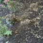Photo of Rustic Roots Garden Center