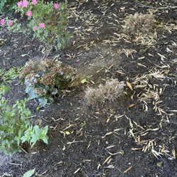 Rustic Roots Garden Center