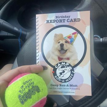 Camp Run-A-Mutt - His report card and his bday ball - Pet Sitting Near Me - Chula Vista, California Camp Run-A-Mutt - His report card and his bday ball - Pet Sitting Near Me - Chula Vista, California