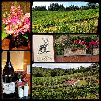Elk Cove Vineyards - Wineries Near Me - Gaston, Oregon Elk Cove Vineyards - Wineries Near Me - Gaston, Oregon