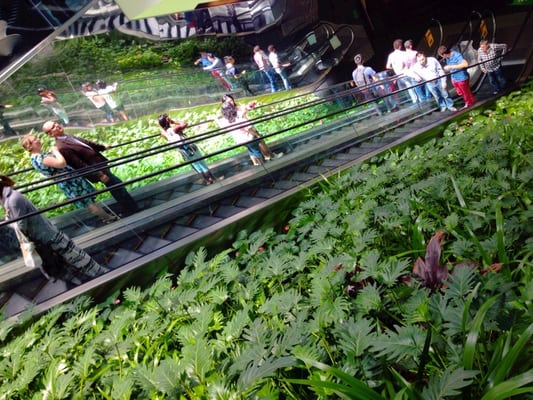 Central Park Mall by null