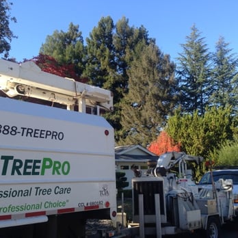TreePro Professional Tree Care - 2-TreePro - Tree Services Near Me