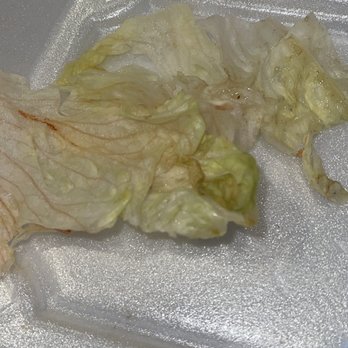Turtles Bar and Grill - bad lettuce they gave me - Sports Bars Near Me - Chicago, Illinois Turtles Bar and Grill - bad lettuce they gave me - Sports Bars Near Me - Chicago, Illinois