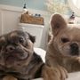 Photo of Glenway Animal Hospital