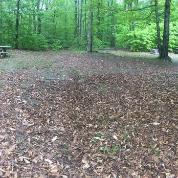 Mongaup Pond Campground - B69, connecting to b67 which also connects to b66 - Hiking Near Me - Livingston Manor, New York Mongaup Pond Campground - B69, connecting to b67 which also connects to b66 - Hiking Near Me - Livingston Manor, New York