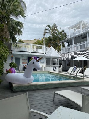 Alexander's Guesthouse-Adult Exclusive, LGBTQ Friendly by null