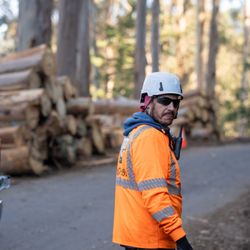 Community Tree Services