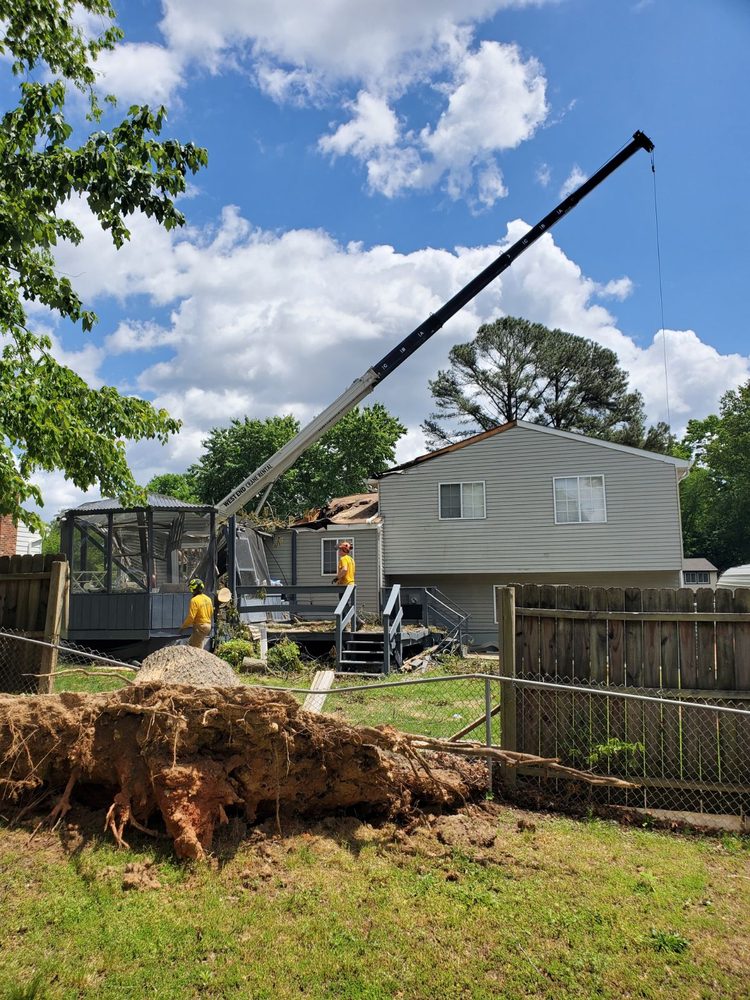 All Stumps Plus - tree service in Mechanicsville, VA