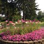 Photo of Austin Country Club